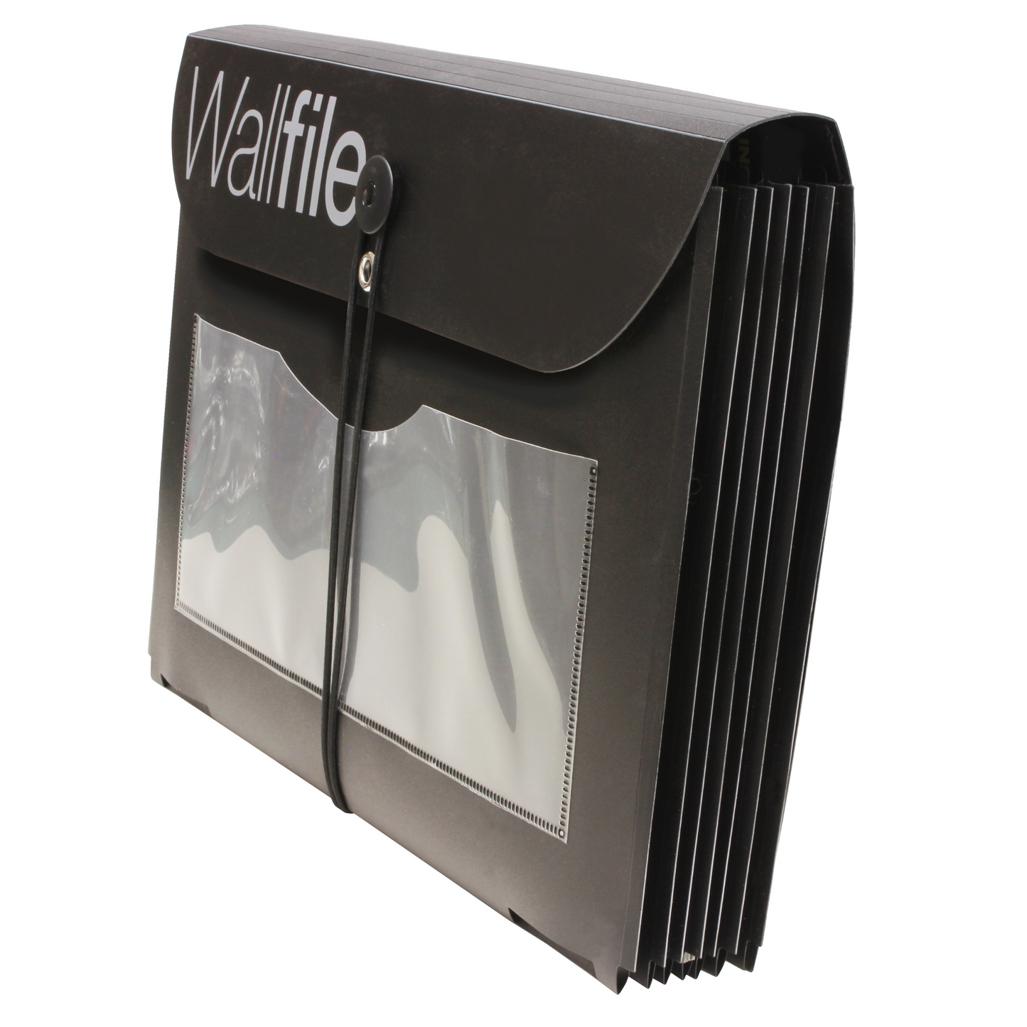 7 Pocket Expandable Wall File and Portable Organizer