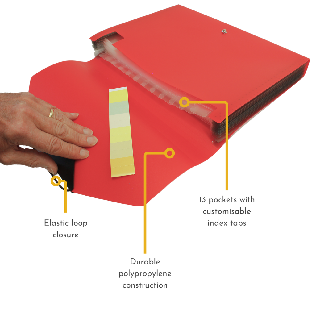 13 Pocket Triangle Flap Expanding File