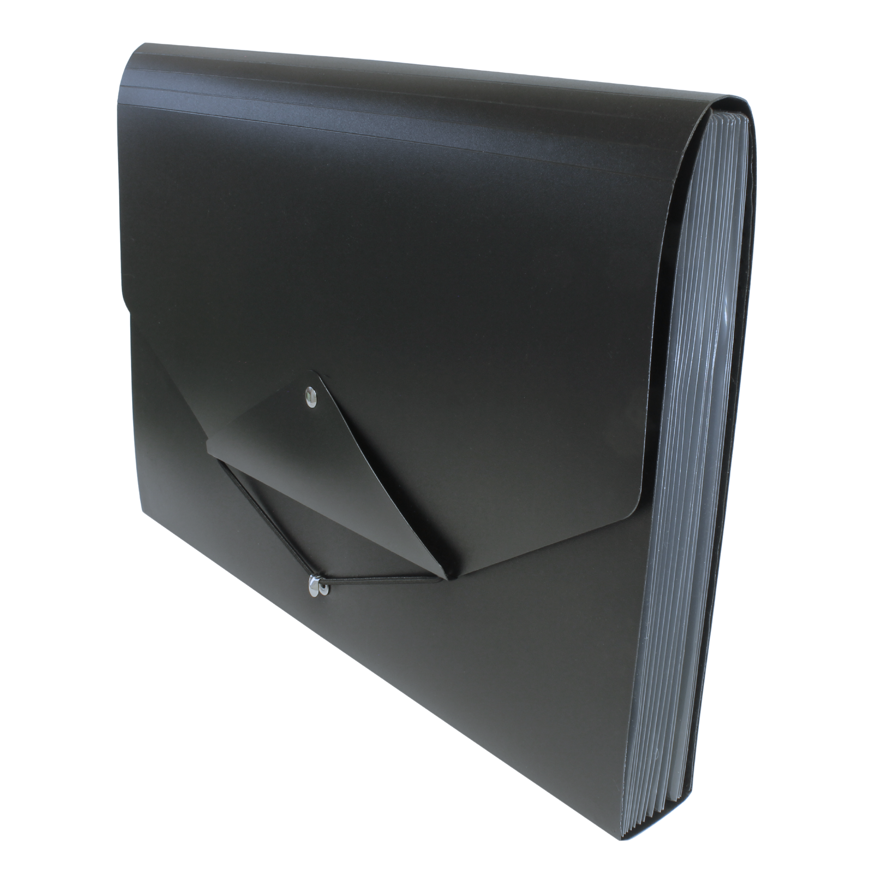 13 Pocket Triangle Flap Expanding File