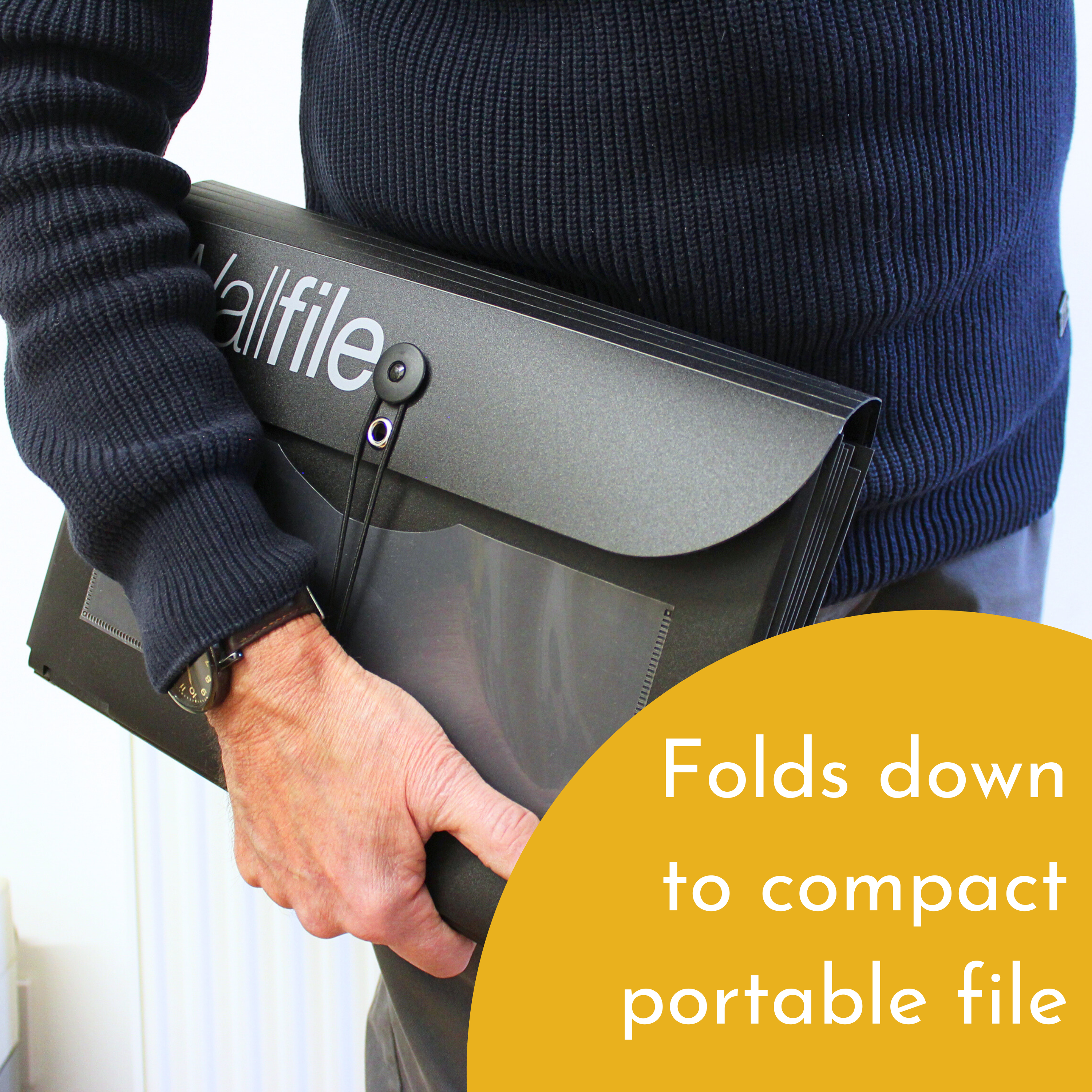 7 Pocket Expandable Wall File and Portable Organizer